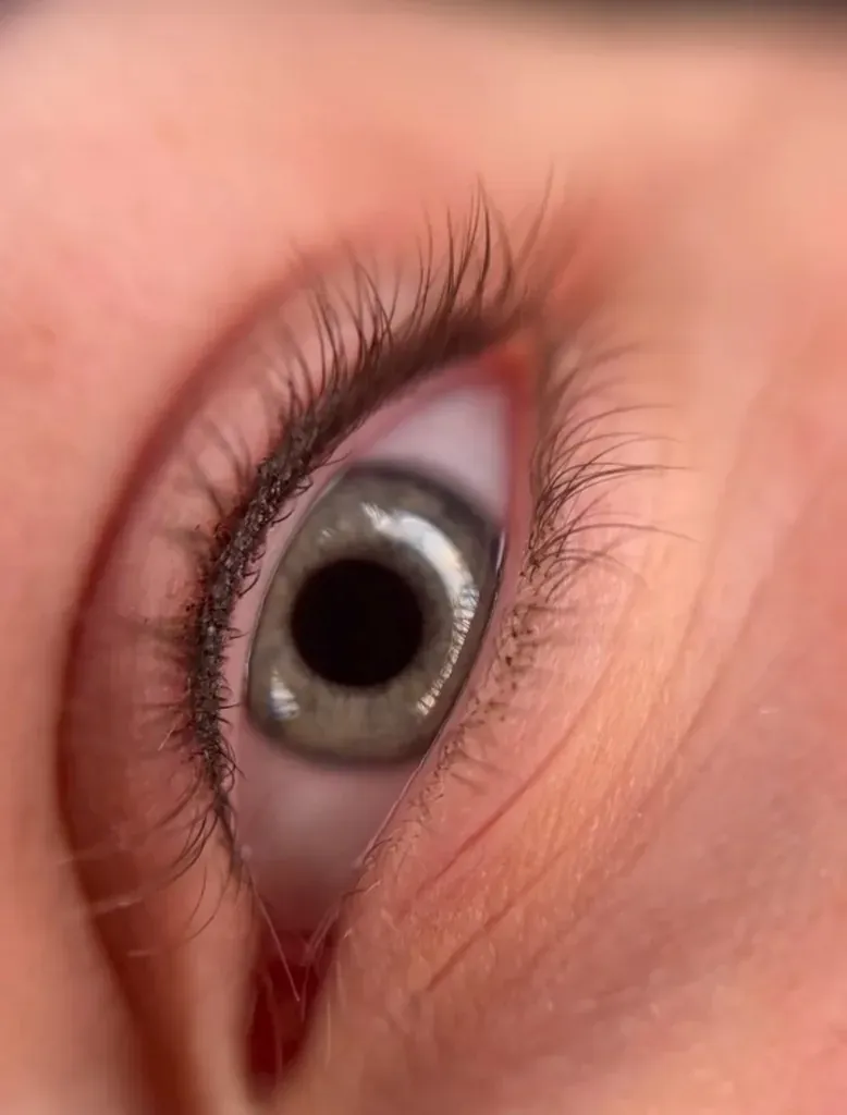 Lash liner